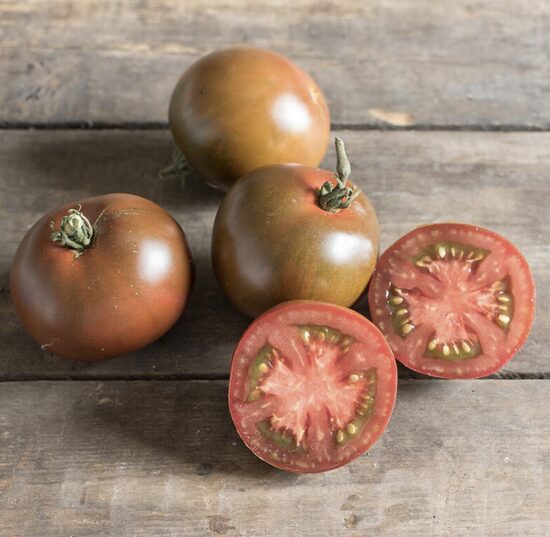 Pomidorų daigai BLACK PRINCE – aukštaūgiai, vidutiniškai ankstyvi